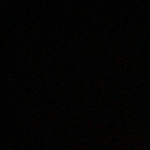 Meet your Posher, Loris